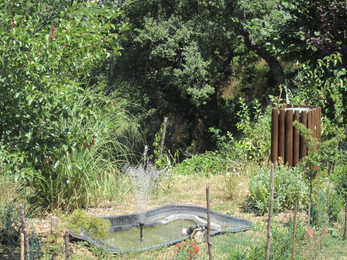 Agriturismo Grotta Dell'Eremita Albano di Lucania Εξωτερικό φωτογραφία